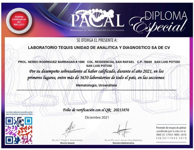 DIPLOMA PACAL QR 20213856_page-0001